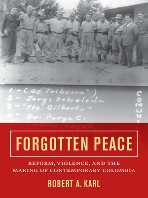 cover image of Forgotten Peace